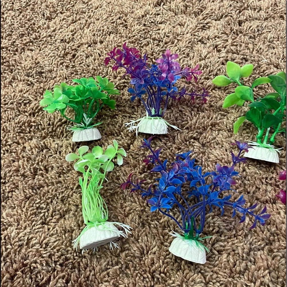 assortment of fish tank plants